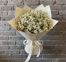Букет цветов из:  Ромашки #REPLACE_PRED# Красный Коммунар