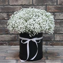 Цветочная композиция из Гипсофила в шляпной коробке #REPLACE_PRED# Красный Коммунар